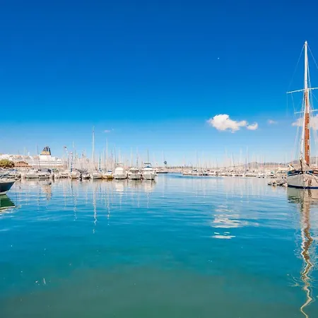 Le Neroli T2 Dernier Etage Avec Terrasse Et Garage 아파트